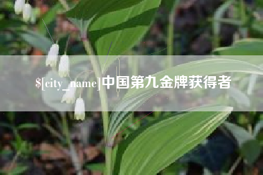齐河中国第九金牌获得者
