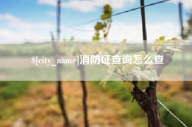 齐河消防证查询怎么查
