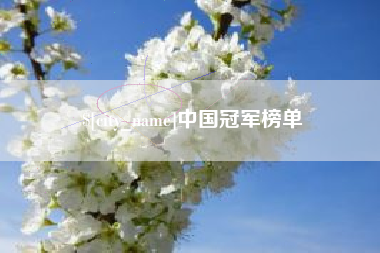 齐河中国冠军榜单