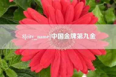 齐河中国金牌第九金