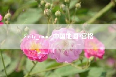 齐河中国地图9宫格