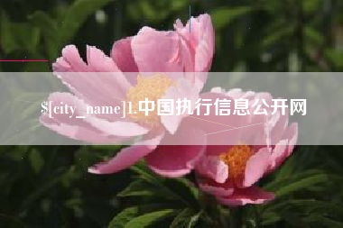 齐河1.中国执行信息公开网