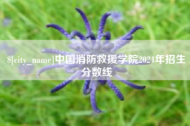 齐河中国消防救援学院2024年招生分数线