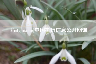 齐河中国执行信息公开网询