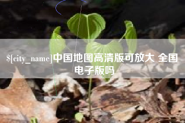 齐河中国地图高清版可放大 全国 电子版吗