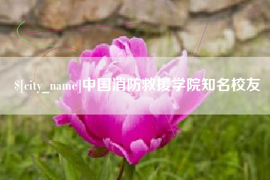 齐河中国消防救援学院知名校友