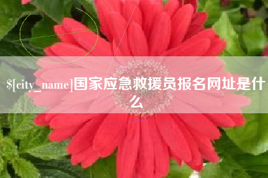 齐河国家应急救援员报名网址是什么