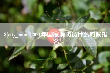 齐河2021年国家消防员什么时候报名