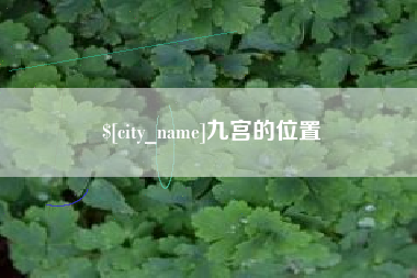 齐河九宫的位置