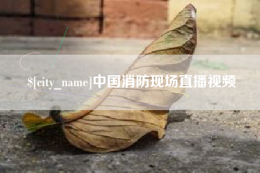 齐河中国消防现场直播视频