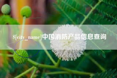 齐河中国消防产品信息查询