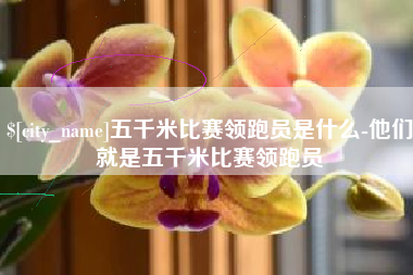 齐河五千米比赛领跑员是什么-他们就是五千米比赛领跑员