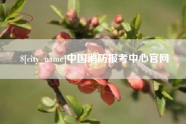 齐河中国消防报考中心官网