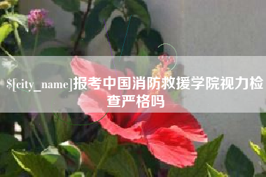 齐河报考中国消防救援学院视力检查严格吗