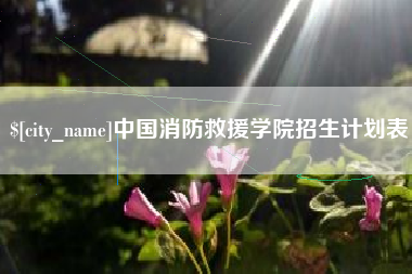 齐河中国消防救援学院招生计划表
