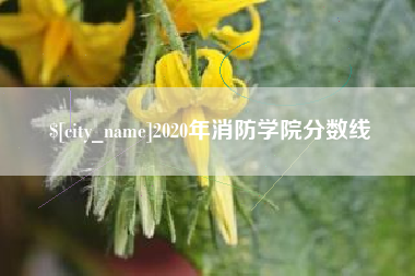 齐河2020年消防学院分数线