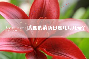 齐河我国的消防日是几月几号？