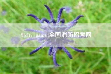 齐河全国消防招考网