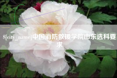 齐河中国消防救援学院山东选科要求