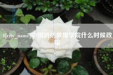 齐河中国消防救援学院什么时候政审