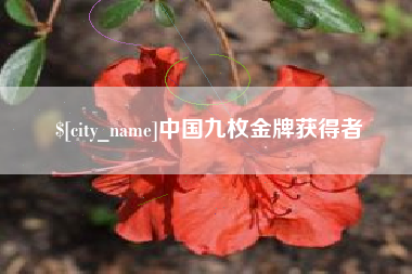 齐河中国九枚金牌获得者