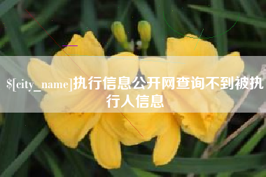 齐河执行信息公开网查询不到被执行人信息