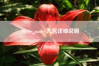 齐河九宫详细说明