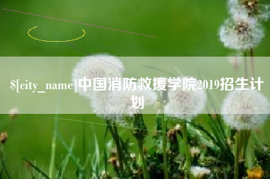 齐河中国消防救援学院2019招生计划