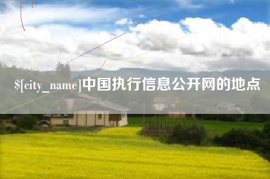 齐河中国执行信息公开网的地点