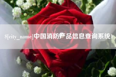 齐河中国消防产品信息查询系统1