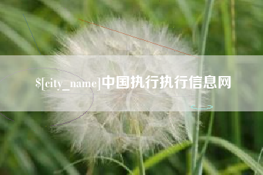 齐河中国执行执行信息网