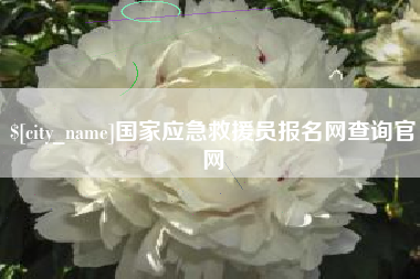 齐河国家应急救援员报名网查询官网