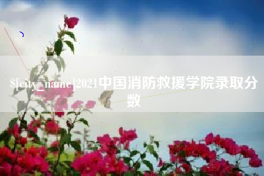 齐河2021中国消防救援学院录取分数