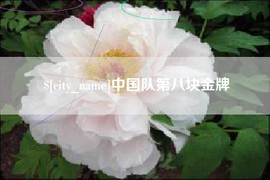 齐河中国队第八块金牌