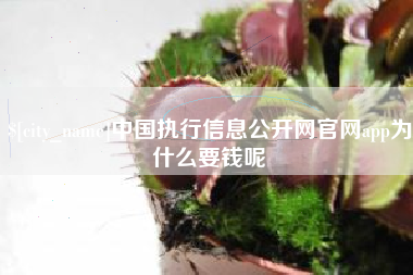 齐河中国执行信息公开网官网app为什么要钱呢