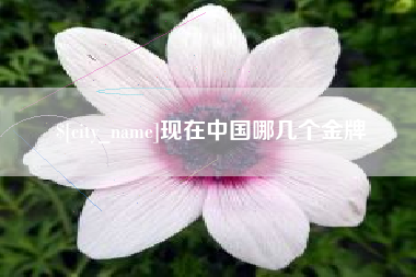 齐河现在中国哪几个金牌