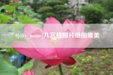 齐河九宫格图片组图唯美