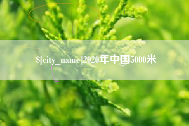 齐河2020年中国5000米