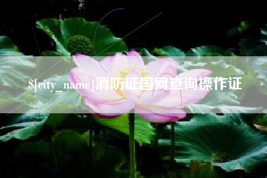 齐河消防证国网查询操作证