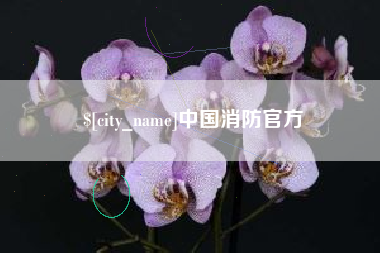 齐河中国消防官方