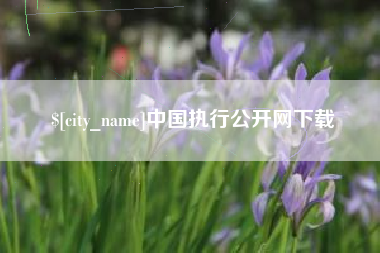 齐河中国执行公开网下载