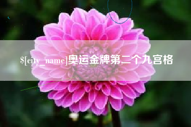 齐河奥运金牌第二个九宫格