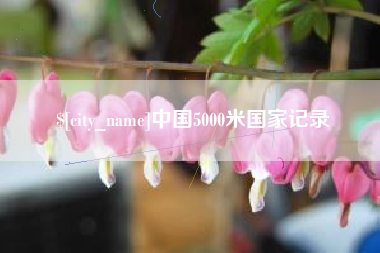 齐河中国5000米国家记录
