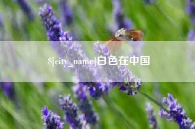 齐河白色在中国