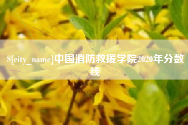 齐河中国消防救援学院2020年分数线