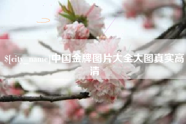 齐河中国金牌图片大全大图真实高清