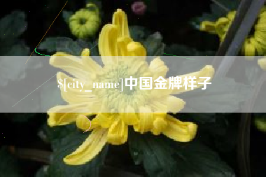 齐河中国金牌样子