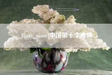 齐河中国第十个金牌