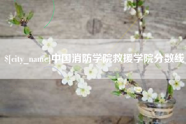 齐河中国消防学院救援学院分数线