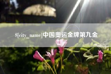 齐河中国奥运金牌第九金